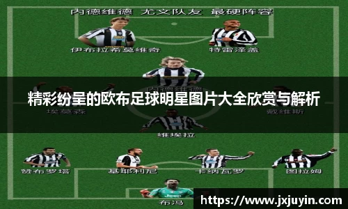 精彩纷呈的欧布足球明星图片大全欣赏与解析